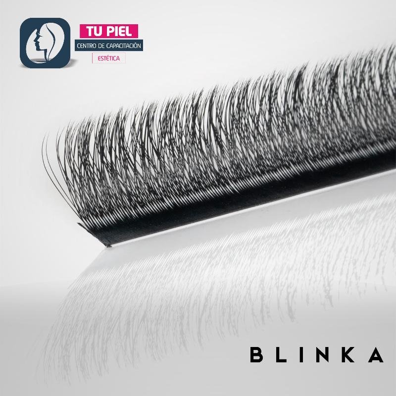 EYELASH EXTENSION | D CURL | 0,07 | 3D CLOVER | 10mm | 3DD07-10MM - Imagen 4